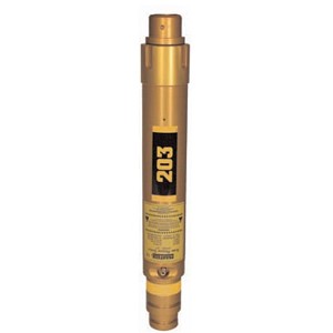 Paratech Longshore Strut 203