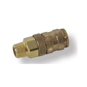Paratech 1/4" Coupling in NPT M